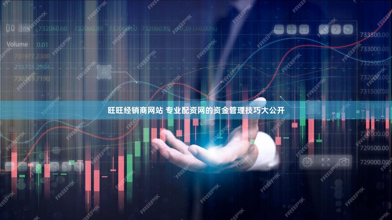 旺旺经销商网站 专业配资网的资金管理技巧大公开