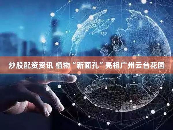 炒股配资资讯 植物“新面孔”亮相广州云台花园