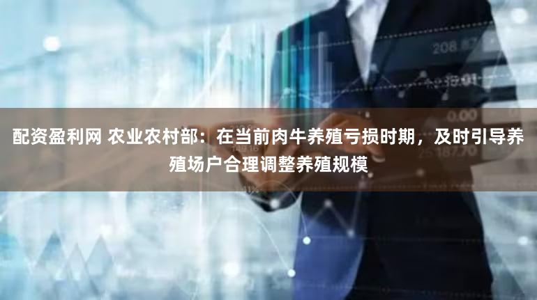 配资盈利网 农业农村部：在当前肉牛养殖亏损时期，及时引导养殖场户合理调整养殖规模