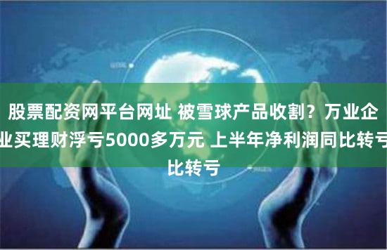 股票配资网平台网址 被雪球产品收割？万业企业买理财浮亏5000多万元 上半年净利润同比转亏