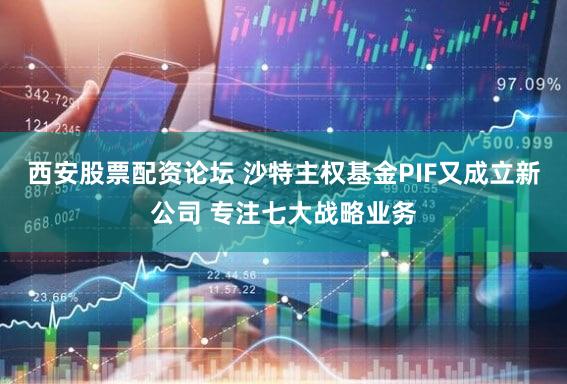 西安股票配资论坛 沙特主权基金PIF又成立新公司 专注七大战略业务