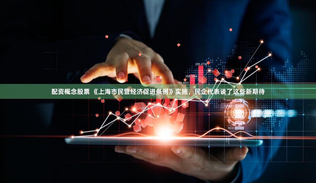 配资概念股票 《上海市民营经济促进条例》实施，民企代表谈了这些新期待