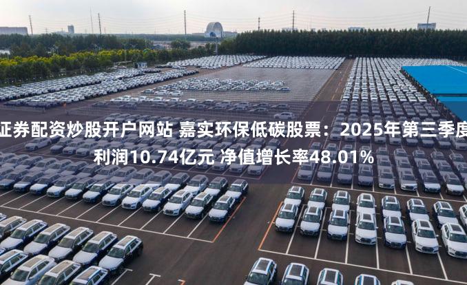证券配资炒股开户网站 嘉实环保低碳股票：2025年第三季度利润10.74亿元 净值增长率48.01%