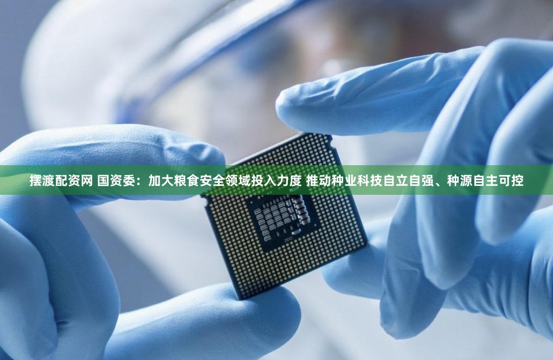 摆渡配资网 国资委:加大粮食安全领域投入力度 推动种业科技自立自强、种源自主可控