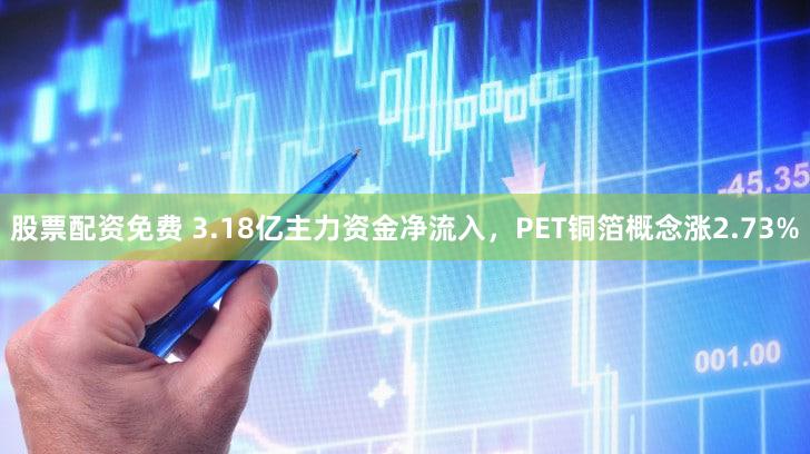 股票配资免费 3.18亿主力资金净流入，PET铜箔概念涨2.73%