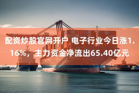 配资炒股官网开户 电子行业今日涨1.16%,主力资金净流出65.40亿元