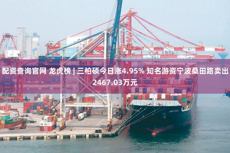 配资查询官网 龙虎榜 | 三柏硕今日涨4.95% 知名游资宁波桑田路卖出2467.03万元