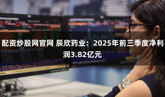配资炒股网官网 辰欣药业：2025年前三季度净利润3.82亿元