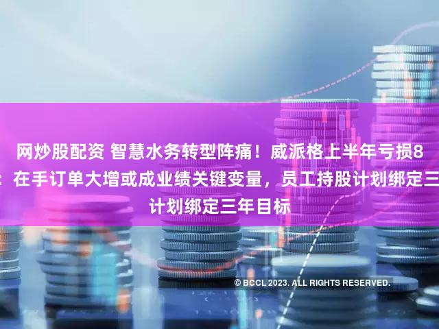 网炒股配资 智慧水务转型阵痛！威派格上半年亏损8000万：在手订单大增或成业绩关键变量，员工持股计划绑定三年目标