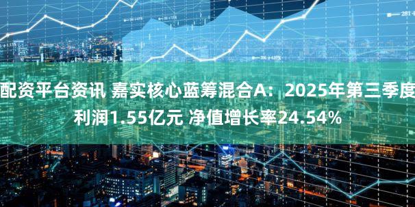 配资平台资讯 嘉实核心蓝筹混合A：2025年第三季度利润1.55亿元 净值增长率24.54%
