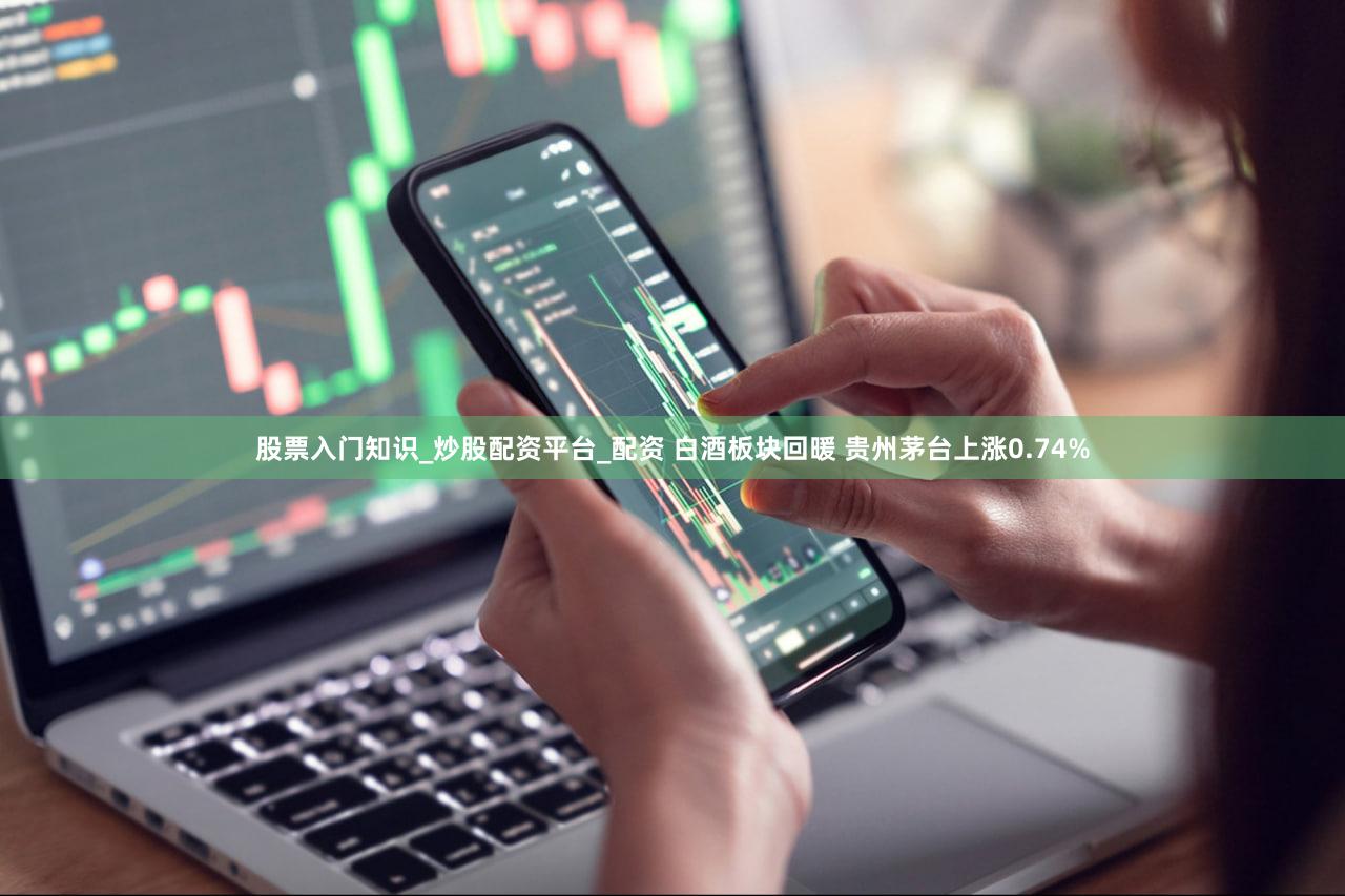 股票入门知识_炒股配资平台_配资 白酒板块回暖 贵州茅台上涨0.74%