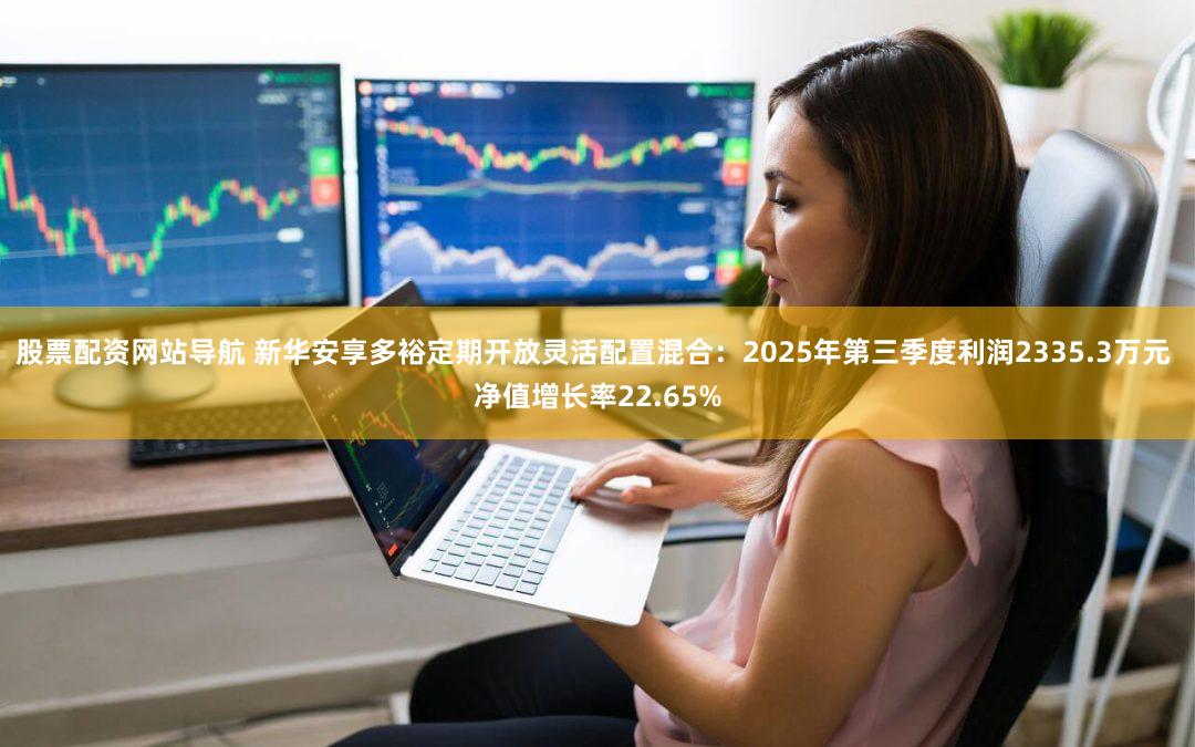 股票配资网站导航 新华安享多裕定期开放灵活配置混合:2025年第三季度利润2335.3万元 净值增长率22.65%