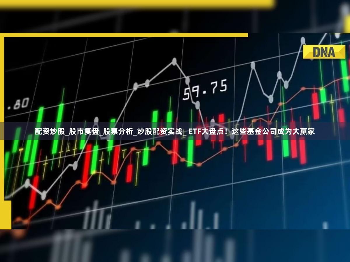 配资炒股_股市复盘_股票分析_炒股配资实战_ ETF大盘点！这些基金公司成为大赢家