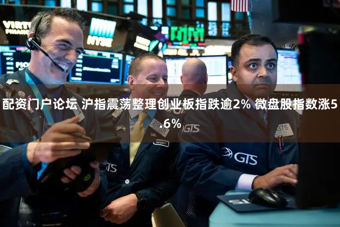 配资门户论坛 沪指震荡整理创业板指跌逾2% 微盘股指数涨5.6%
