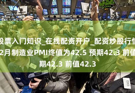股票入门知识_在线配资开户_配资炒股行情 德国2月制造业PMI终值为42.5 预期42.3 前值42.3