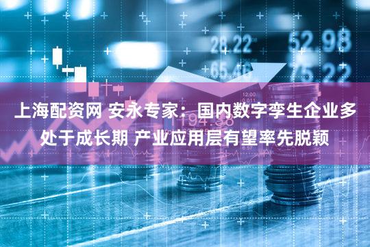 上海配资网 安永专家：国内数字孪生企业多处于成长期 产业应用层有望率先脱颖